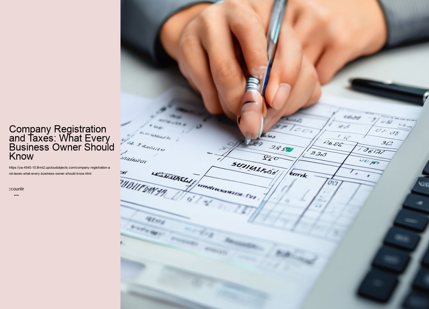 Company Registration and Taxes: What Every Business Owner Should Know