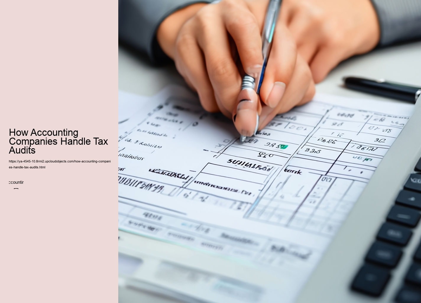 How Accounting Companies Handle Tax Audits