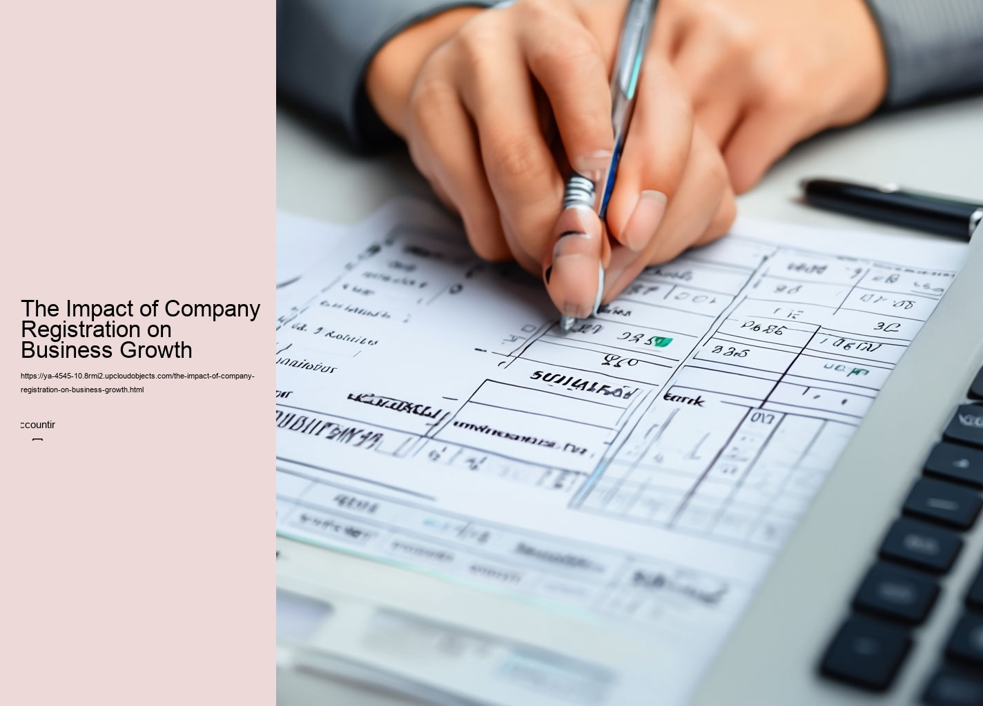 The Impact of Company Registration on Business Growth