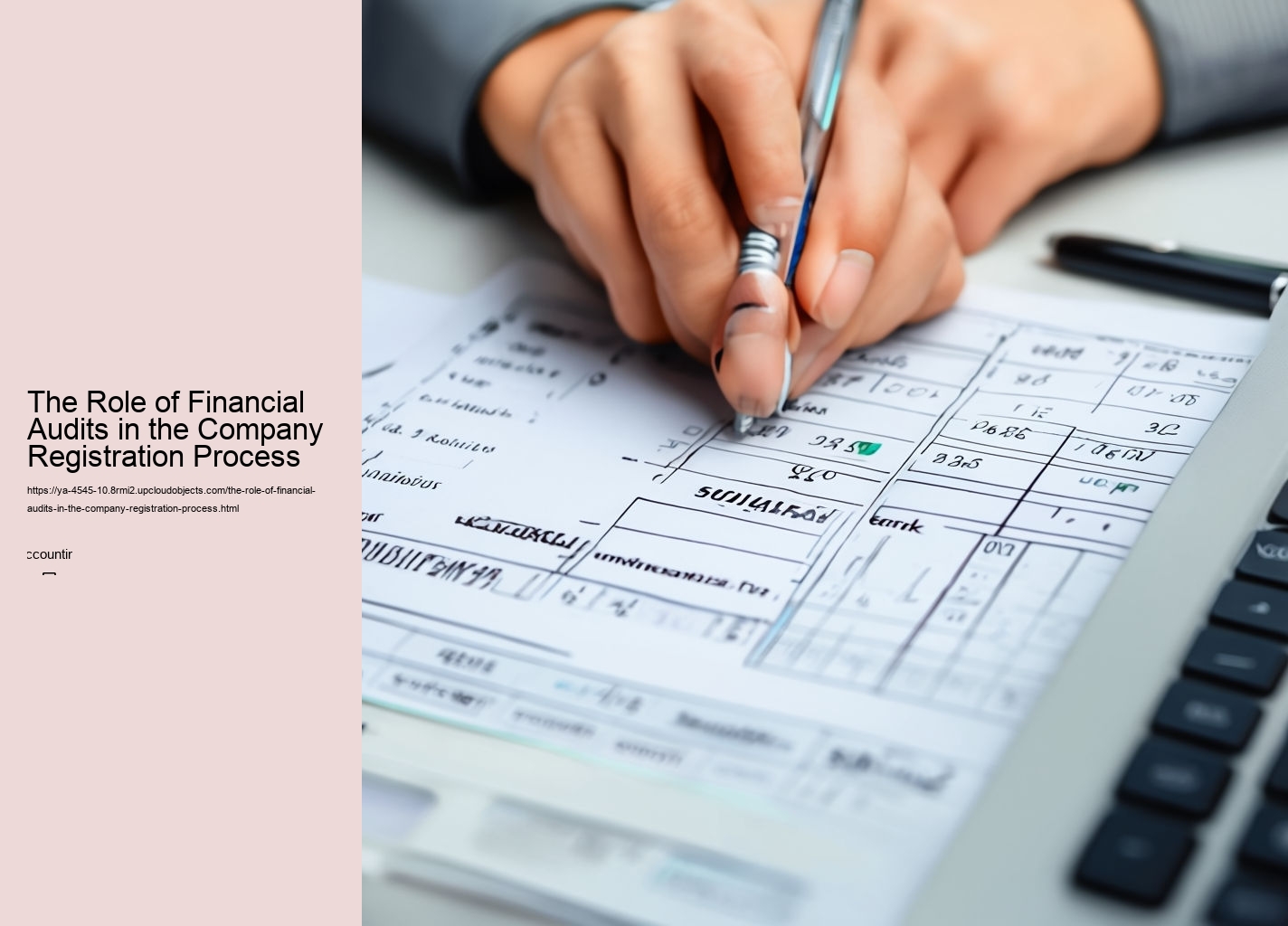 The Role of Financial Audits in the Company Registration Process