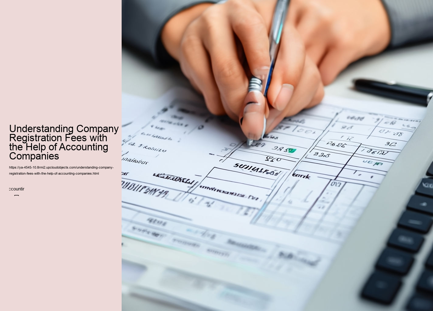 Understanding Company Registration Fees with the Help of Accounting Companies